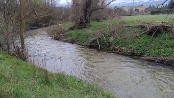 Un monitor, un fiume e una coppia di germani reali