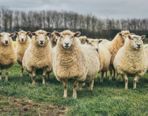 «Ho paura che la mia sia l’ultima generazione che abita queste zone»