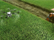 Il cibo va in “rete” per Coltivare il futuro