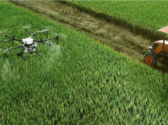 Il cibo va in “rete” per Coltivare il futuro