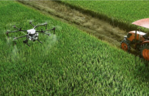 Il cibo va in “rete” per Coltivare il futuro