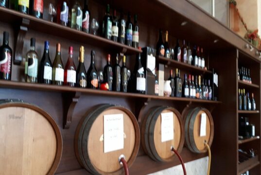 Il Fucino culla della viticoltura “eroica”