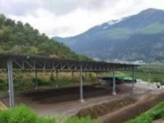 Stop to Fertilizers from Waste: TAR “Freezes” the Colonnella Plant