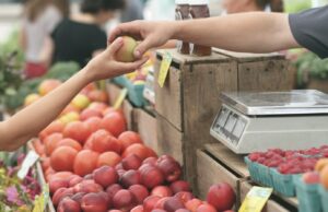 Sustainable Food Projects Across Sweden