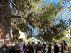 Waking Up Our School Garden – Blueprint for Change: Our Green Action Plan