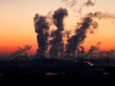 Sweden’s Role in Global Climate Events and Forums