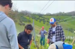 Agroecologia in pratica: modelli agricoli sostenibili