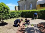 Hortus Hatriae: quando la scuola rigenera la città