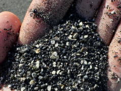 Viticoltura eroica a Lanzarote: coltivare nella lava