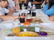 Spices of the Canary Islands: a Journey Through Flavours and Traditions
