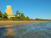 Paesaggio rurale e identità: le pinete litoranee e l’Area Marina Protetta Torre del Cerrano