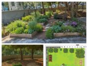 Waking Up Our School Garden – Designing the Dream