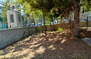 Waking Up Our School Garden – Spot the problem