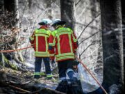 Nature Conservation Initiatives Across Sweden