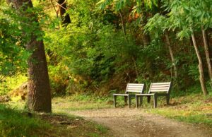 How Communities Are Adapting to Climate Change